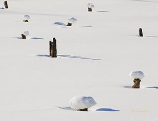 snowhats.jpg