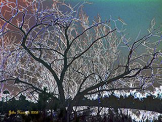 visionoficytree.jpg