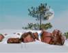 wintermoon_small.jpg