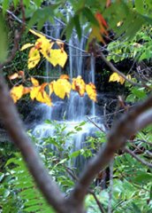 augustwaterfall.jpg