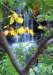 augustwaterfall_small.jpg